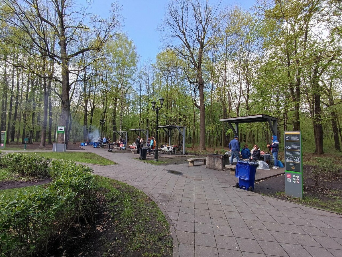 В выходные лучше приезжать в парк «Останкино» к открытию, чтобы успеть занять место в шашлычной зоне. Фото: Любовь Стройкова / Яндекс Карты