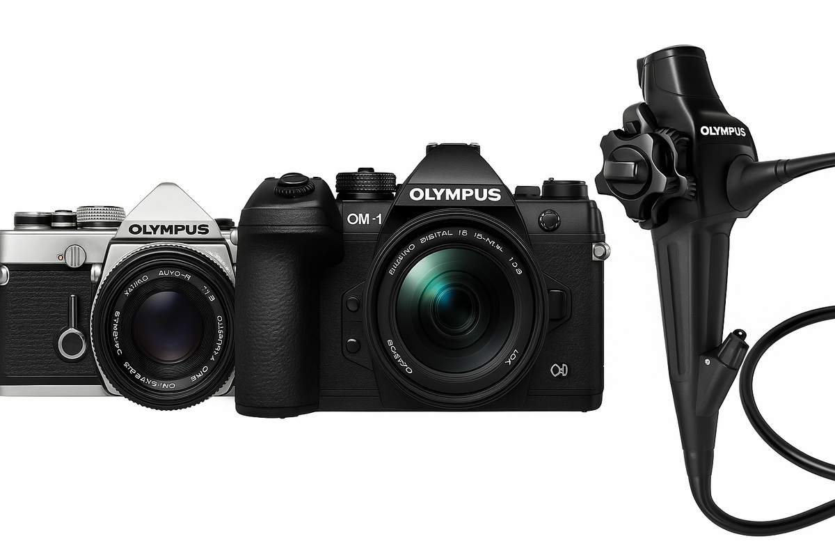 Продукция бренда