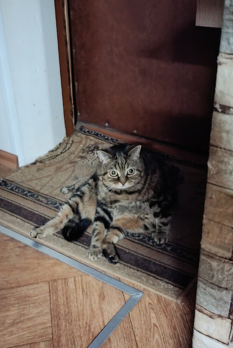 Еле доползла, чуть не рухнула прямо в прихожей.