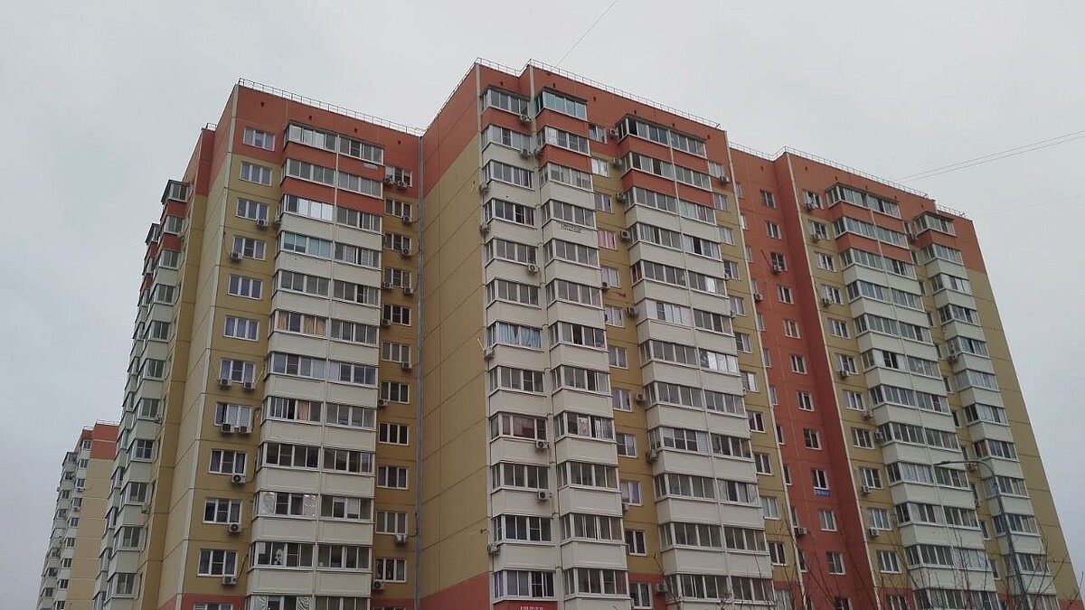    Фото: телеканал «Краснодар»