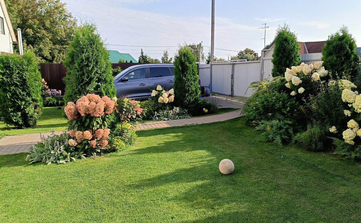 Сад автора, сентябрь