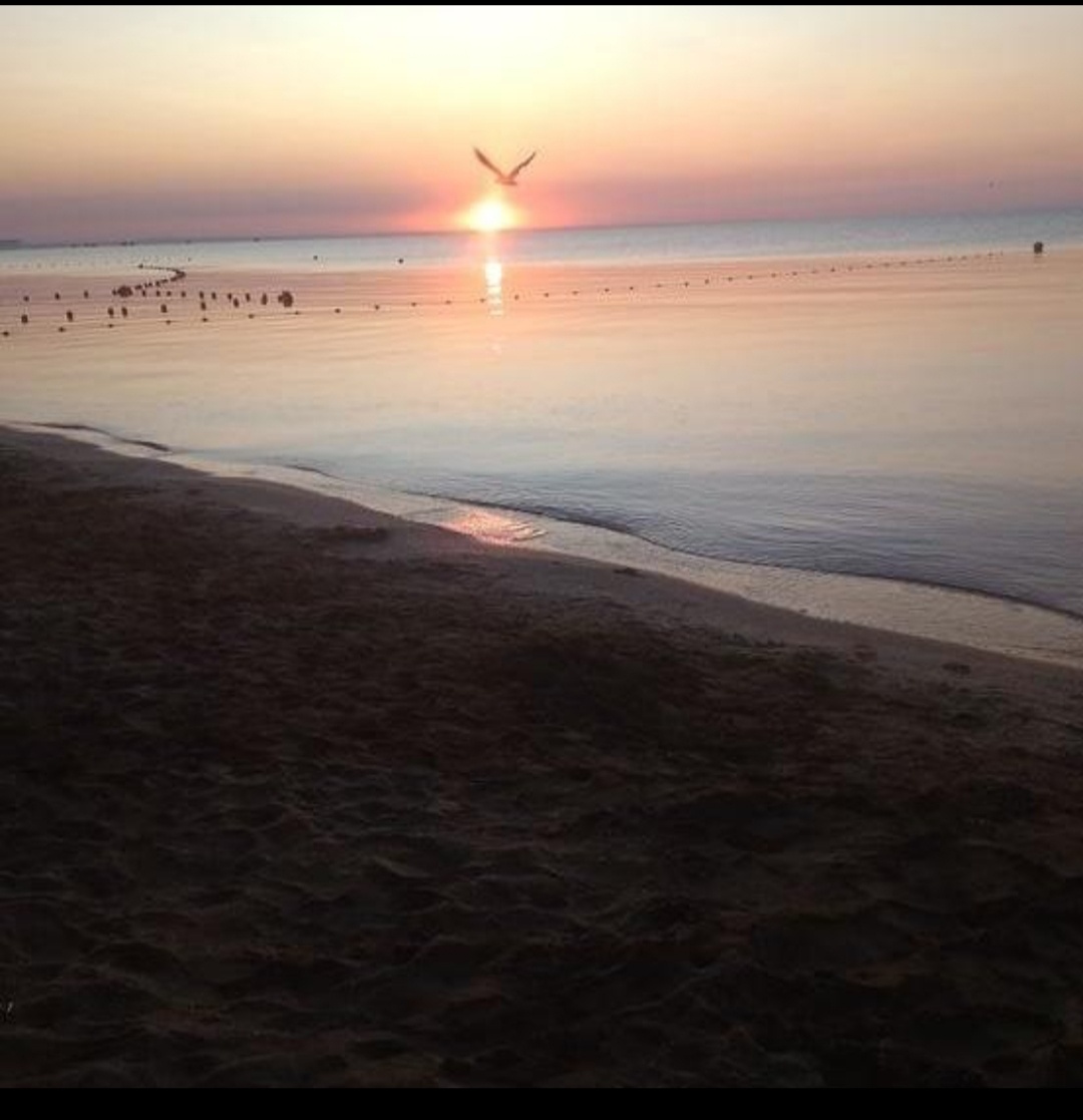 Чёрное море. Рассвет. Фото автора