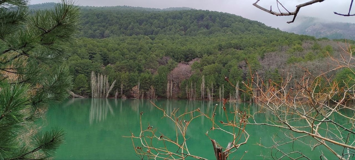 автор фото Alex Eff