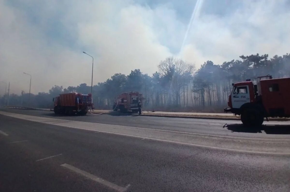    Пожар вдоль Камышового шоссе локализован