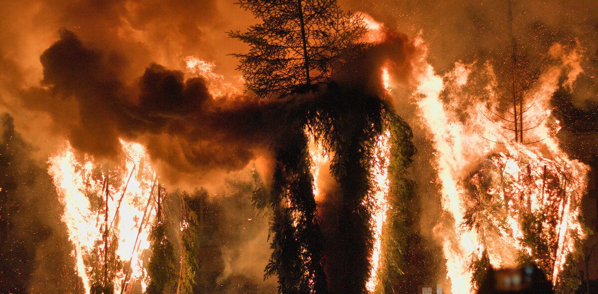 Фото: Louis KIRNER/Unsplash