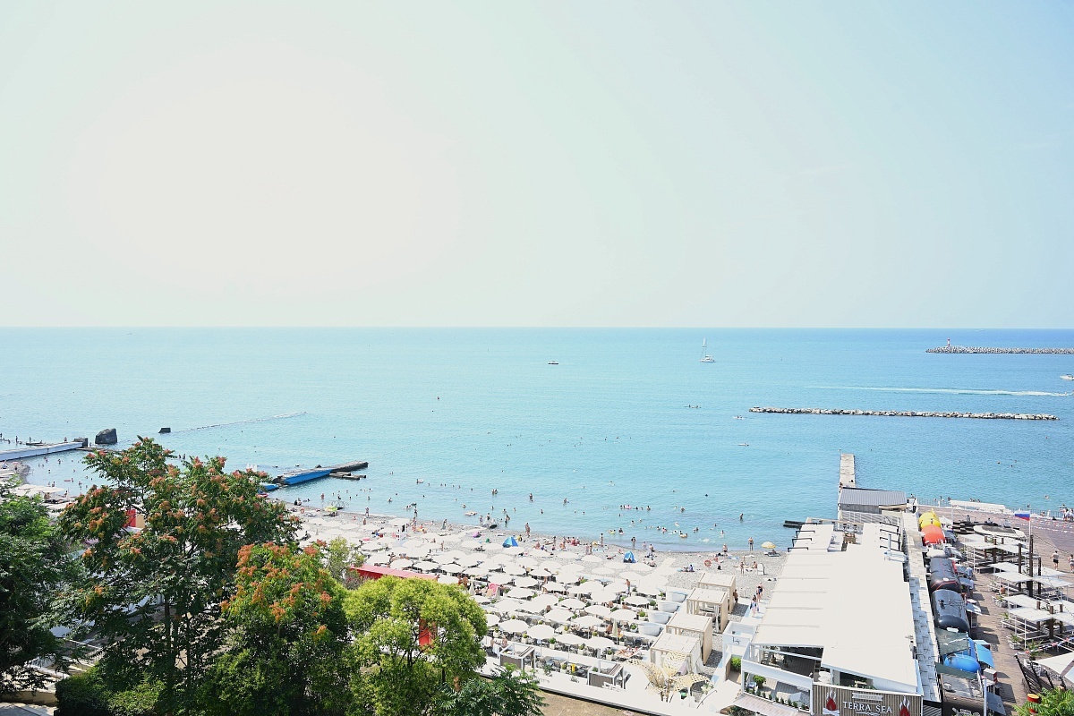    Фото: пресс-служба администрации города Сочи