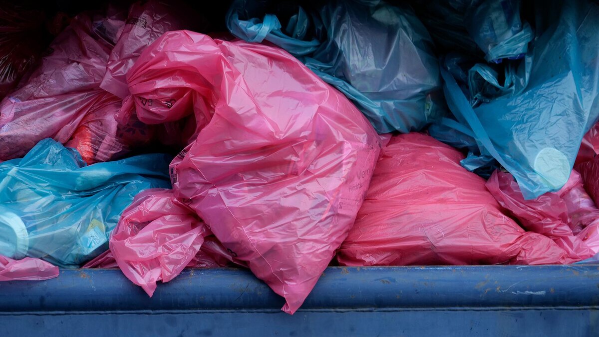    Фото: Wolfram Steinberg/globallookpress.com