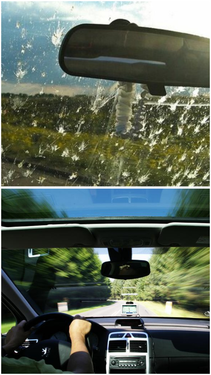 «Эффект лобового стекла». Вы заметили, что ваше стекло теперь всегда чистое? Это не к лучшему.