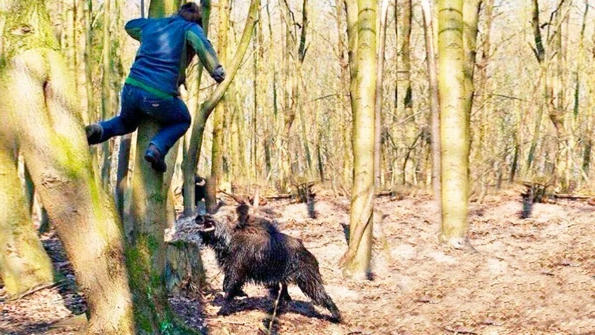 Изображение взято с сайта https://avatars.mds.yandex.net/i?id=0fc7bee98d99d078bc5b2f961fda041d_l-5667979-images-thumbs&n=13