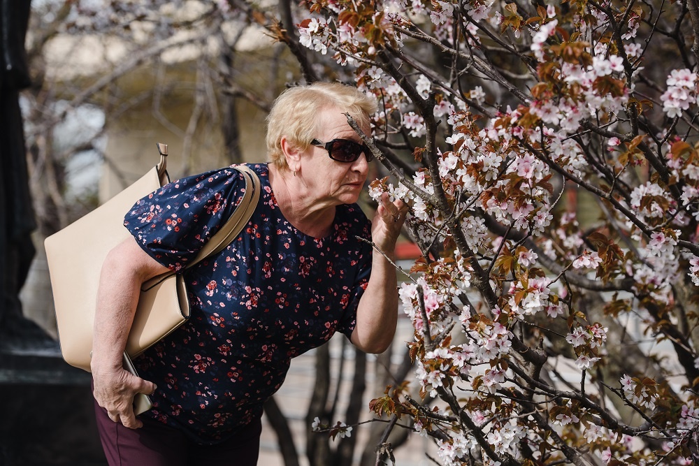 Фото: Николай Михальченко/ТАСС