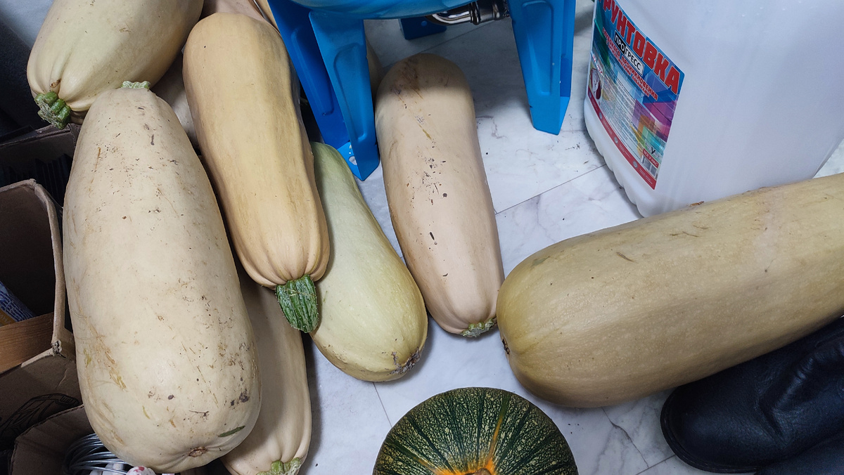 Ещё есть на грядке