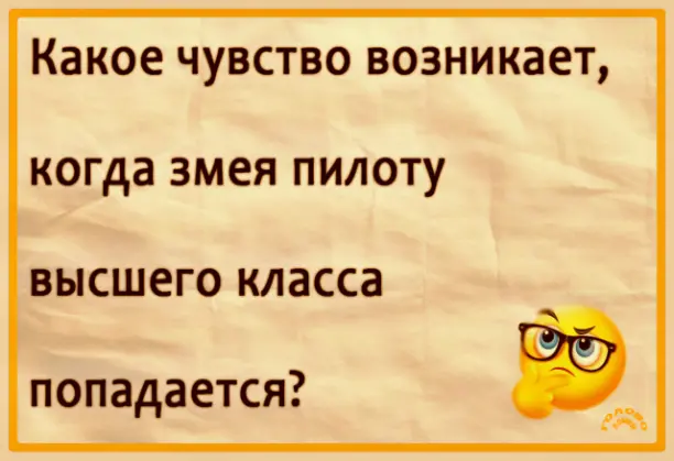 Загадка в словах: разгадай лёгкую шараду 🧩