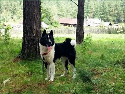 фото из интернета