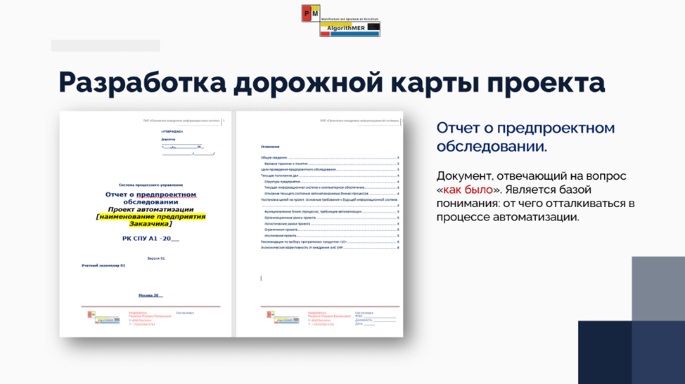Отчет о предпроектном обследовании.