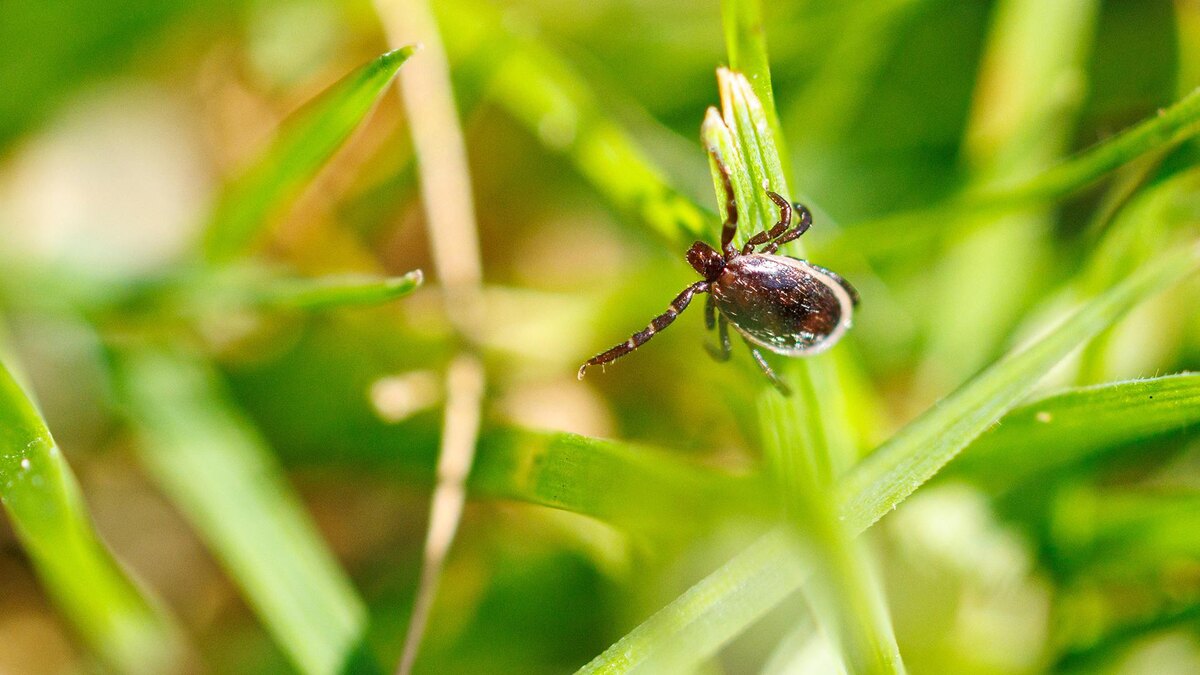    Фото: Matthias Balk/globallookpress.com