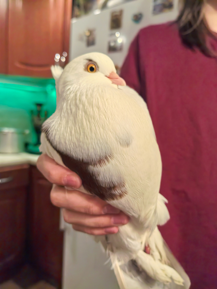 Здравствуйте 👋