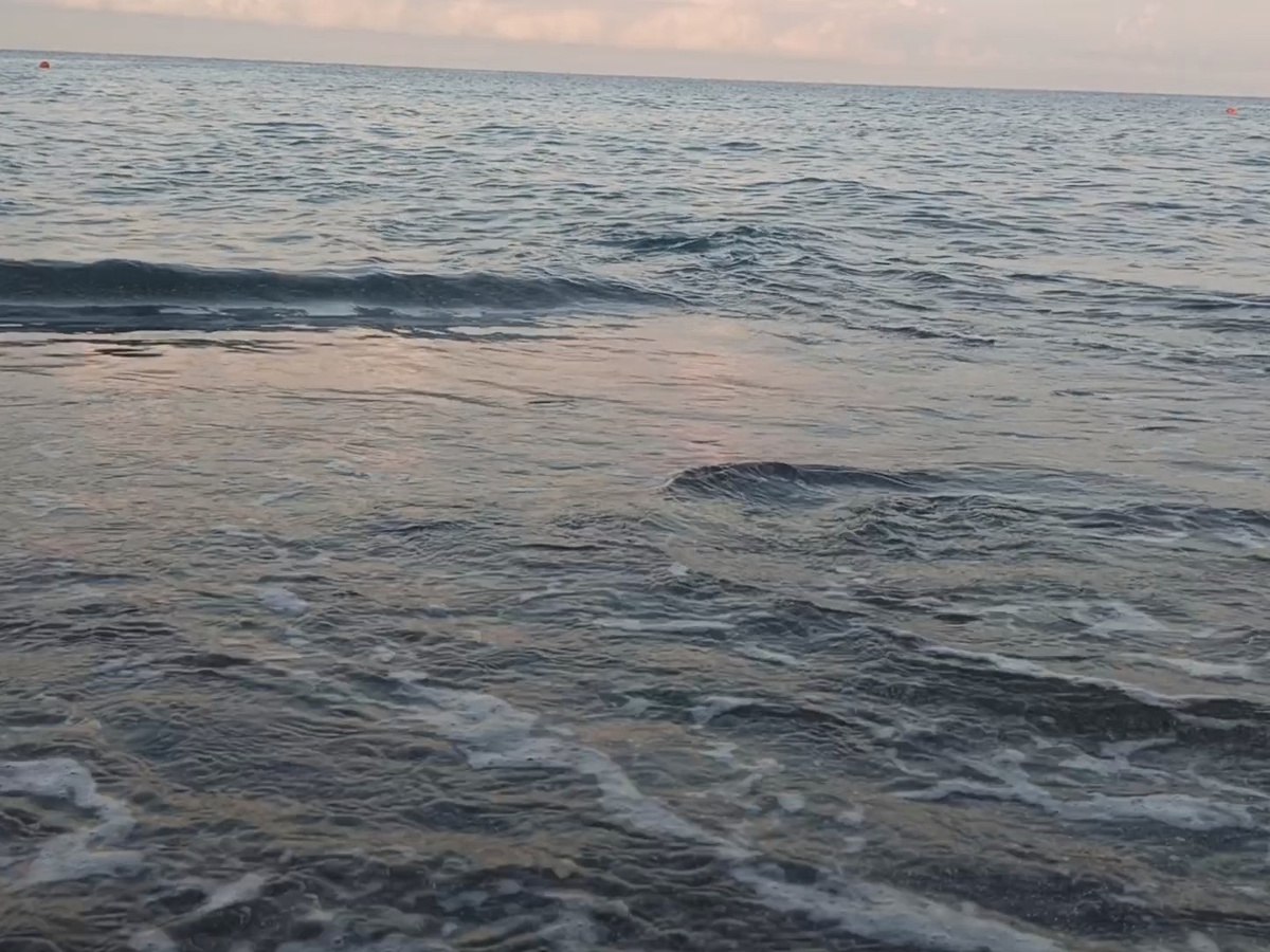 Адлер, август 2025 года