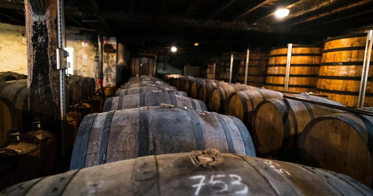 Фото: Timothé Durand / Unsplash