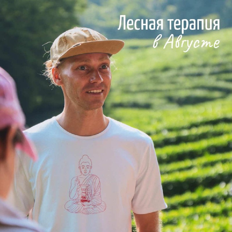 Лесная терапия в Августе