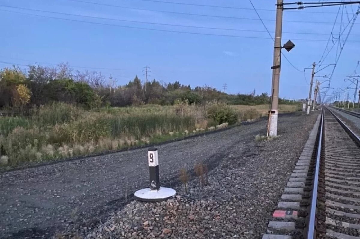    В Омской области грузовой поезд насмерть сбил мужчину
