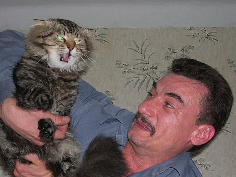 Иллюстрация из открытых источников в интернете.