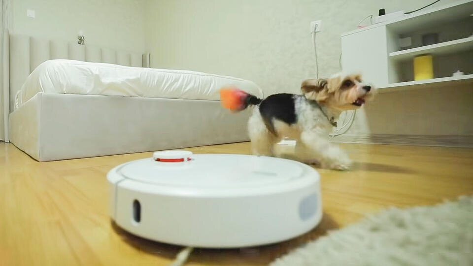 Фото: © Кадр из программы "Знаете ли вы, что?", РЕН ТВ