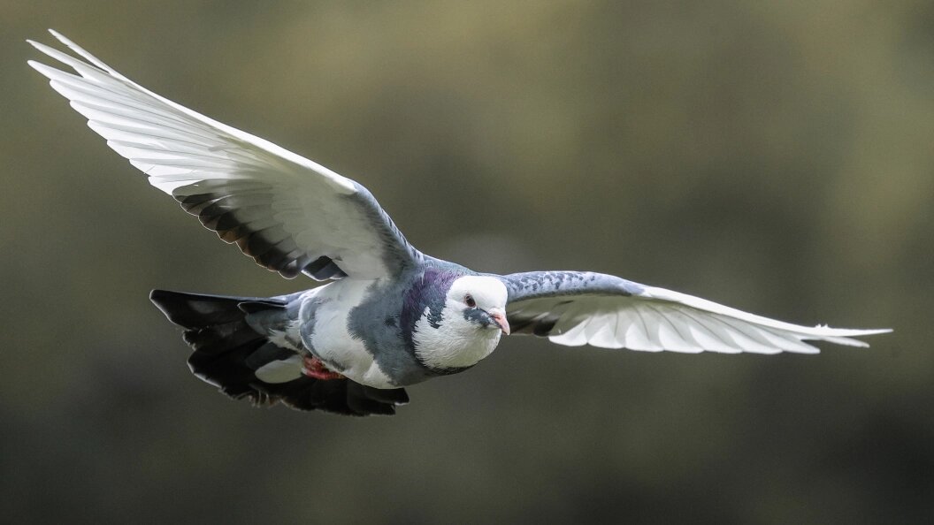    Bulkin Sergey/Globallookpress