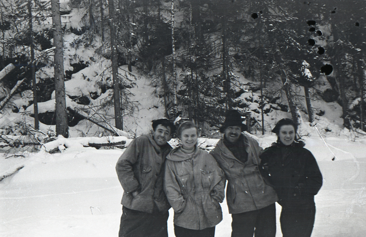 Тибо, Дубинина, Золотарёв и Колмогорова