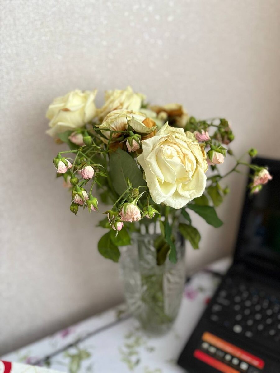 В этом году супруг купил мне на день рождения готовый букет, я его разобрала на следующий день, но он сразу начал увядать😥
