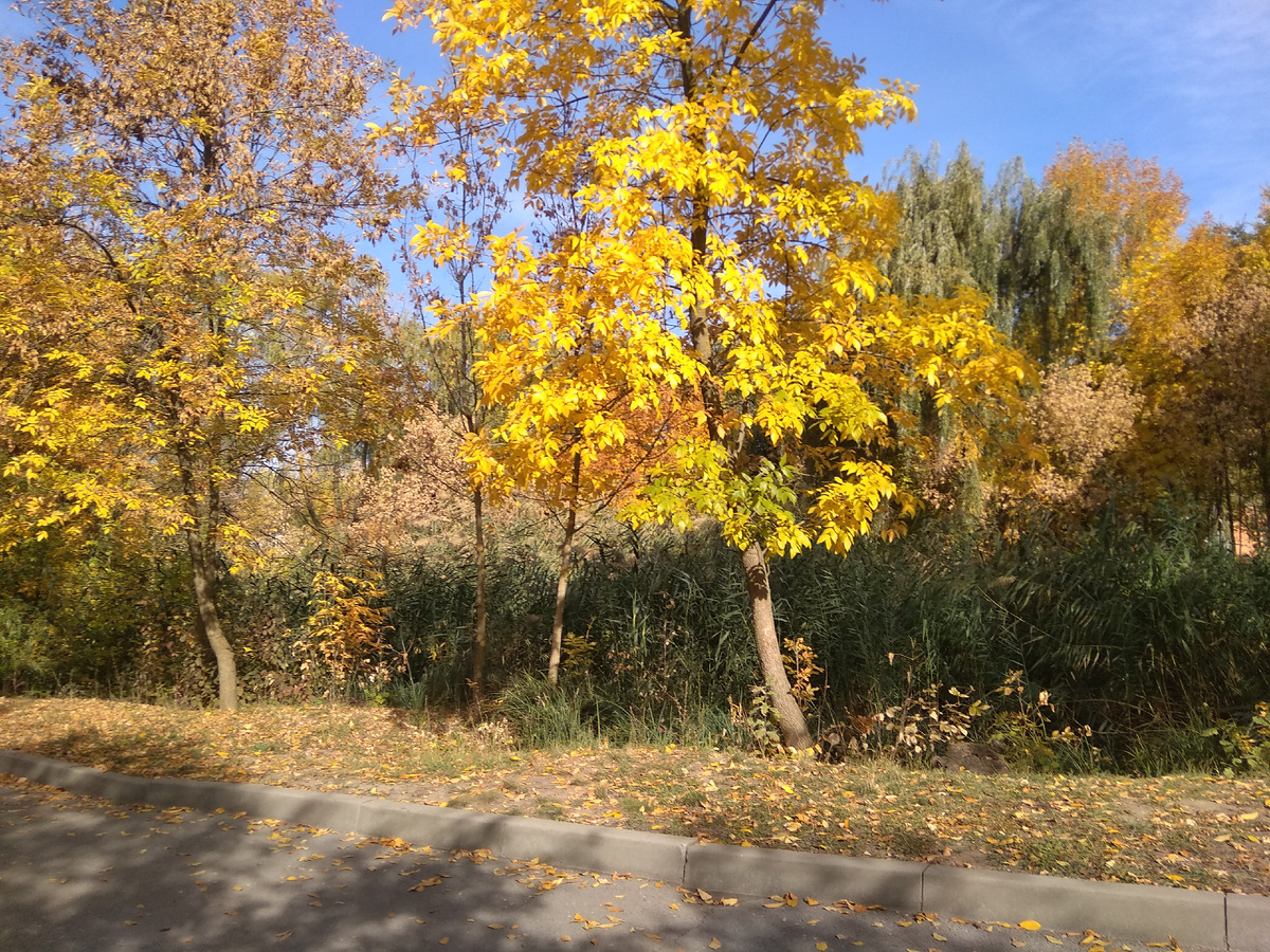 Осень в Ростовском зоопарке