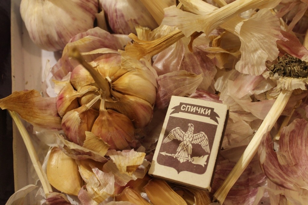 На посадку берем хорошие зубчики от лучших головок чеснока...