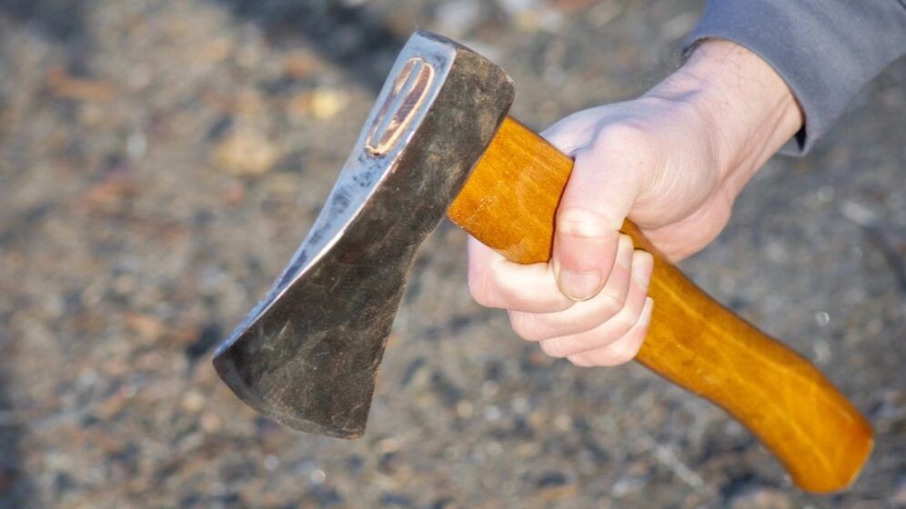    Фото: IhorM/Shutterstock/Fotodom