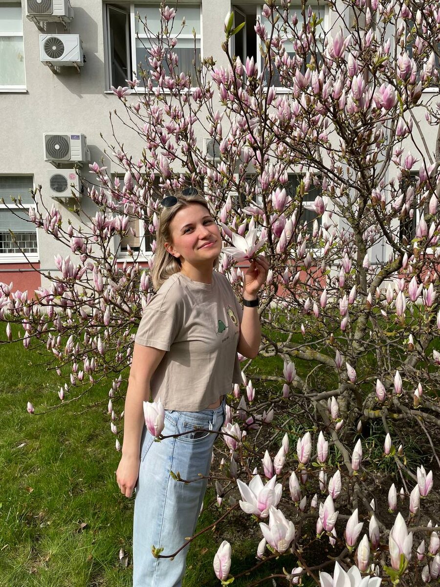 Весенний Светлогорск наполнен цветущими деревьями. 