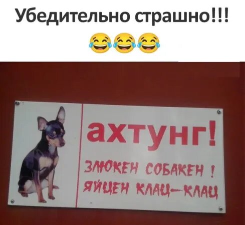 Источник: соцсети