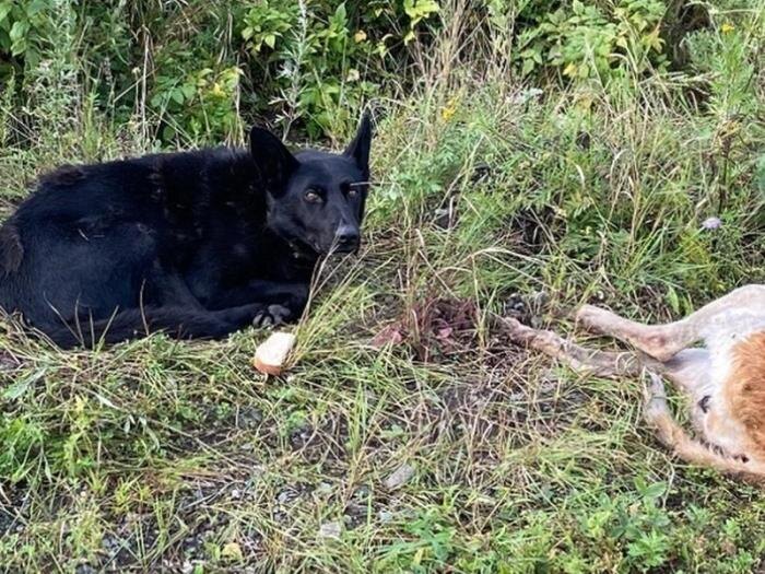     Фото: КП-Екатеринбург