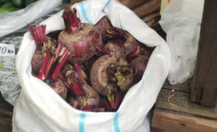    Фото: Лукьянов Дмитрий, AgroXXI.ru