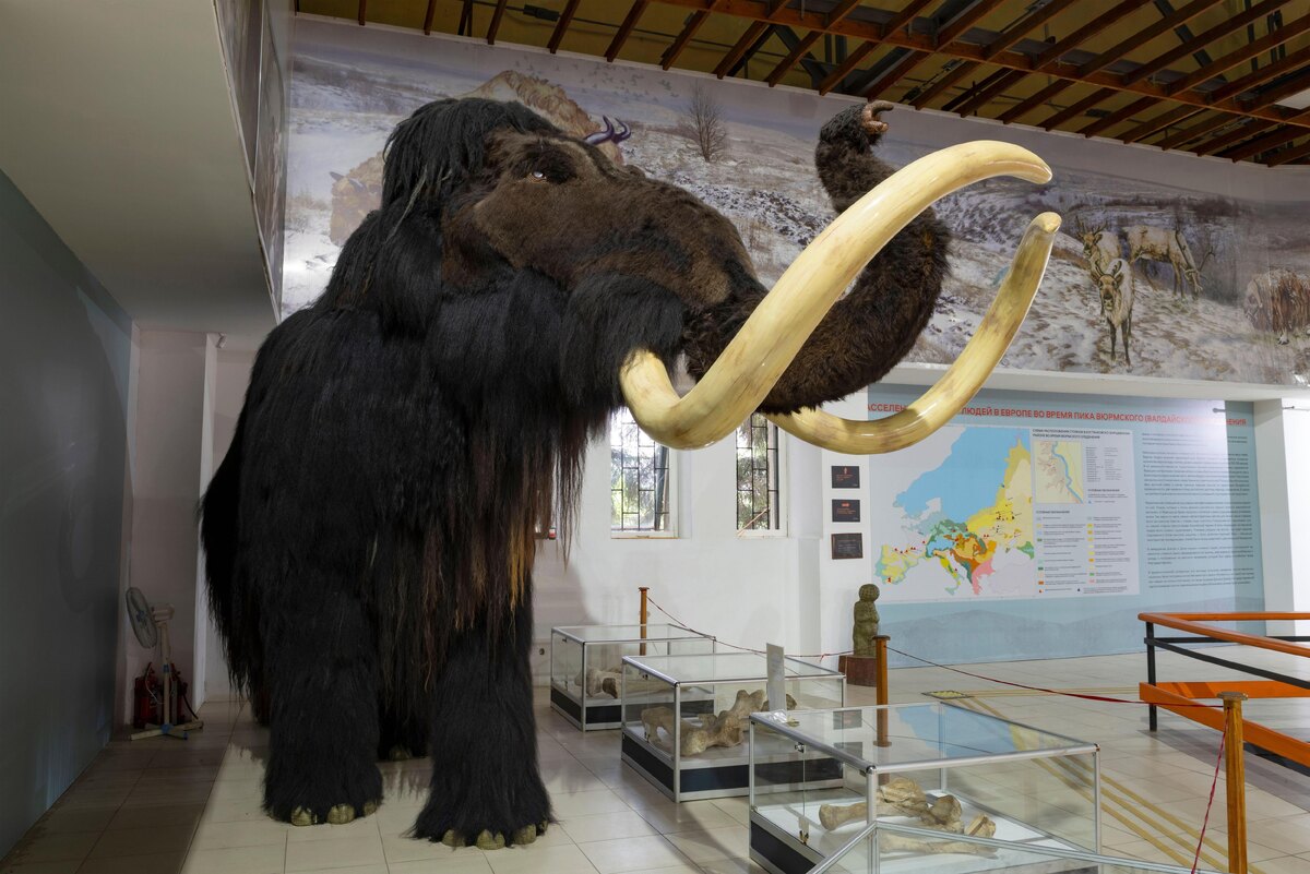    фото:Viktor Karasev via Legion Media