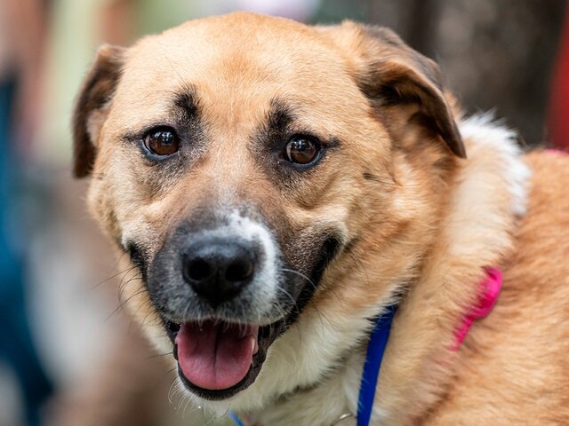    Фото: портал мэра и правительства Москвы/Дарья Мясина