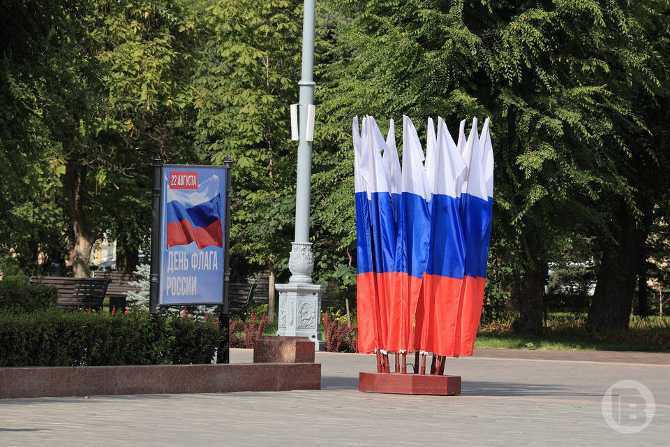    Фото: Дмитрий Рогулин / "Городские вести"