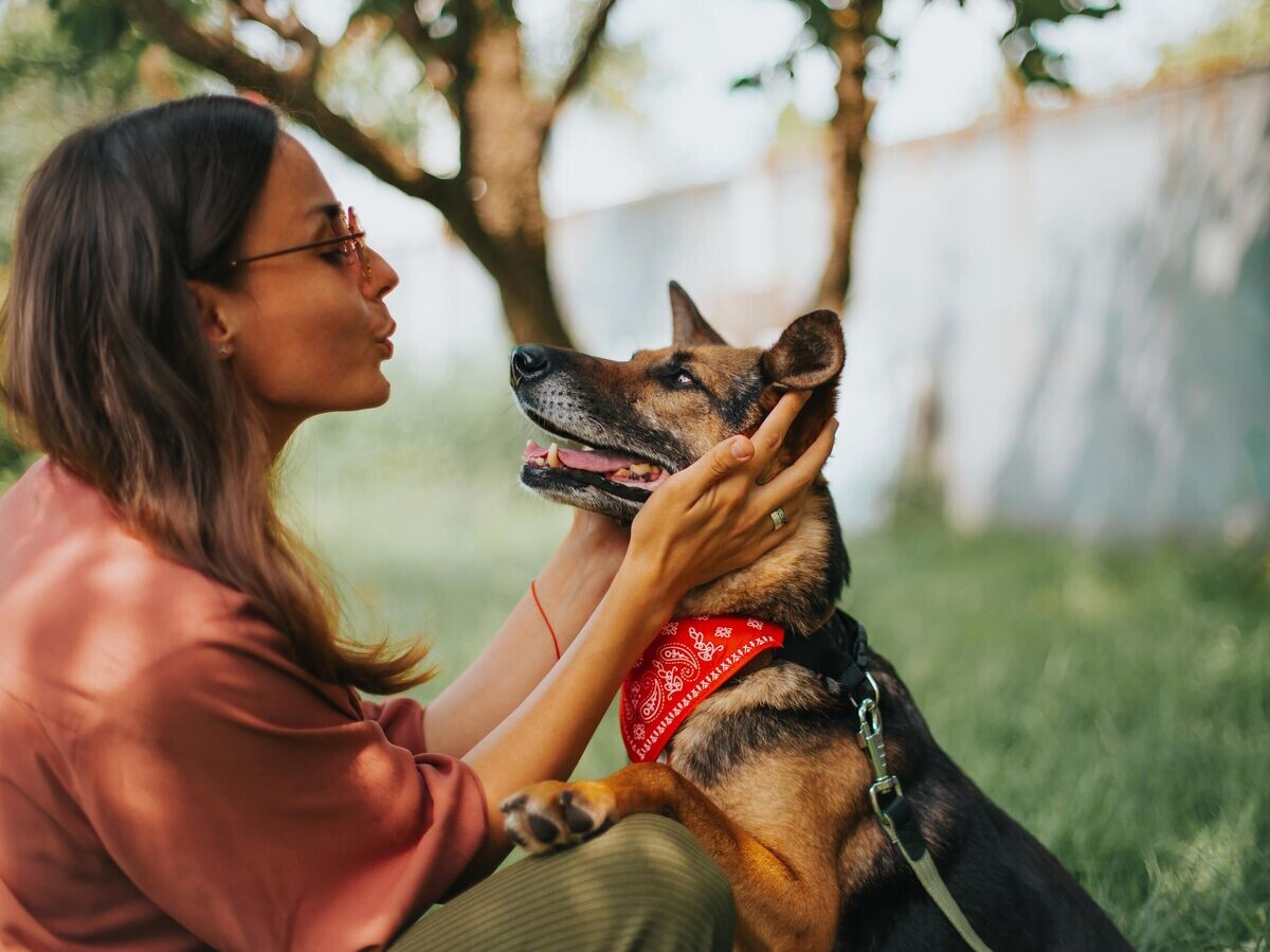    Девушка обнимает собаку из приюта© iStock.com / Povozniuk