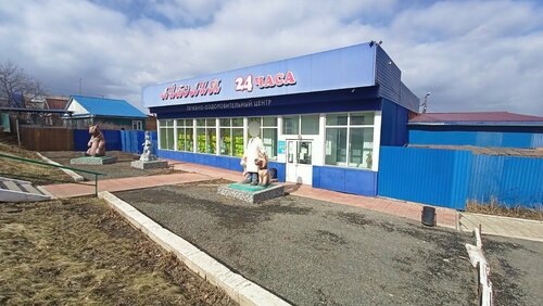 Ветеринарная клиника Айболит. Фото с открытых источников.