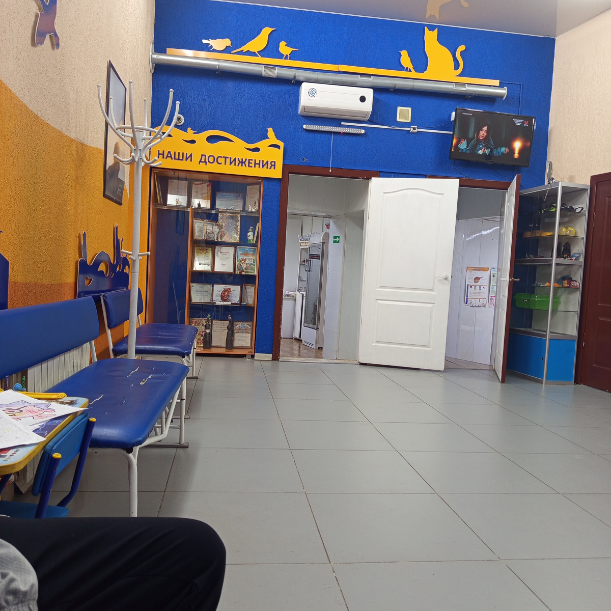 Фото автора. Клиника внутри. Хол.