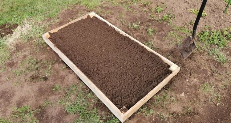    Фото: Лукьянов Дмитрий, AgroXXI.ru