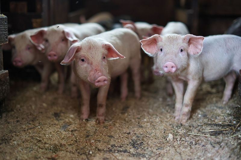    Алексей Белкин/NEWS.ru