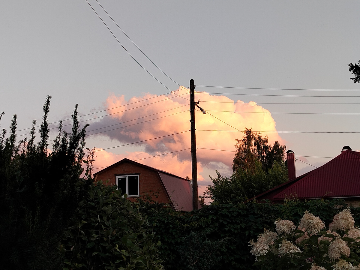 Фото 📷 автора