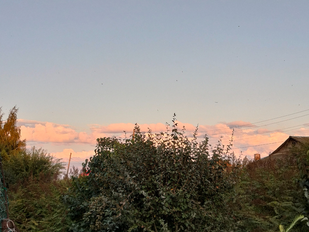 Фото 📷 автора