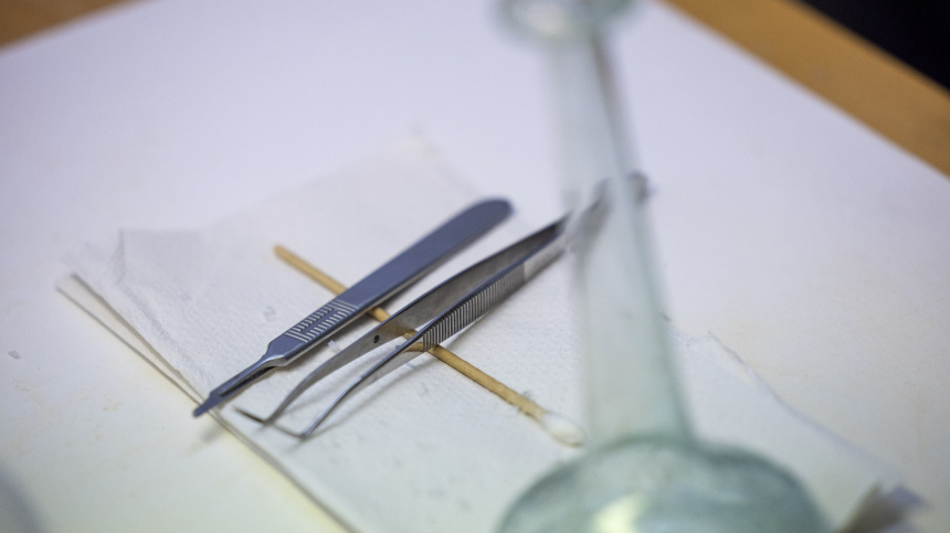    Фото: www.globallookpress.com/Thomas Banneyer