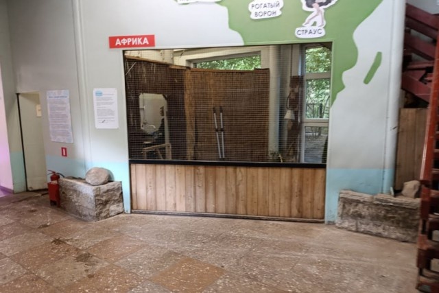  Фото из архива Калининград.Ru