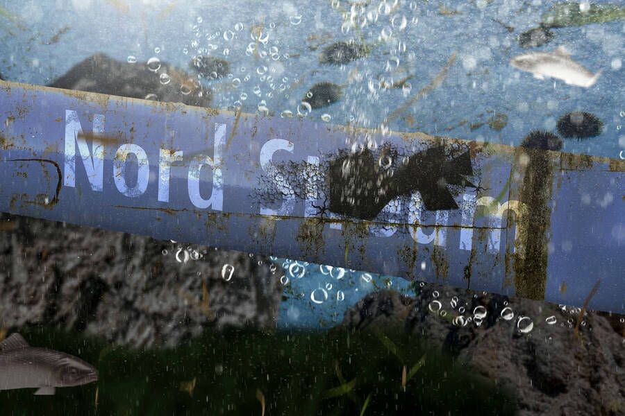     / Источник: © IMAGO/Michael Bihlmayer/ТАСС