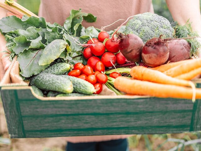    Фото: 123RF/irinashatilova